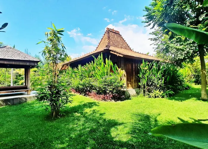 Le Petit Leon's Traditional Wooden House 3*