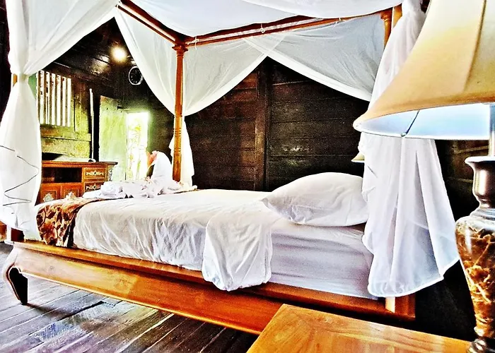 Le Petit Leon's Traditional Wooden House Tegallengah